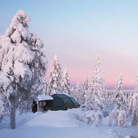 度假居 金冠 - 莱文伊格鲁特度假屋酒店 列维