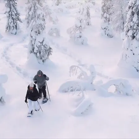 Golden Crown - Levin Iglut Ferienhaus Levi