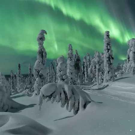 Golden Crown - Levin Iglut Ferienhaus