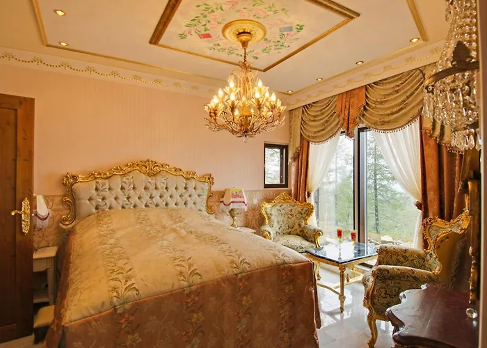 度假居 金冠 - 莱文伊格鲁特度假屋酒店 *