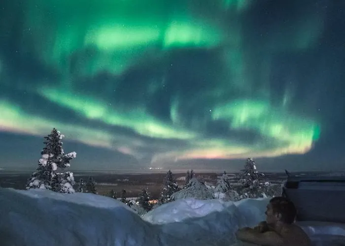 度假居 金冠 - 莱文伊格鲁特度假屋酒店 列维