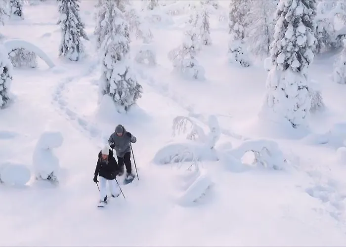 Golden Crown - Levin Iglut Semesterbostad Levi