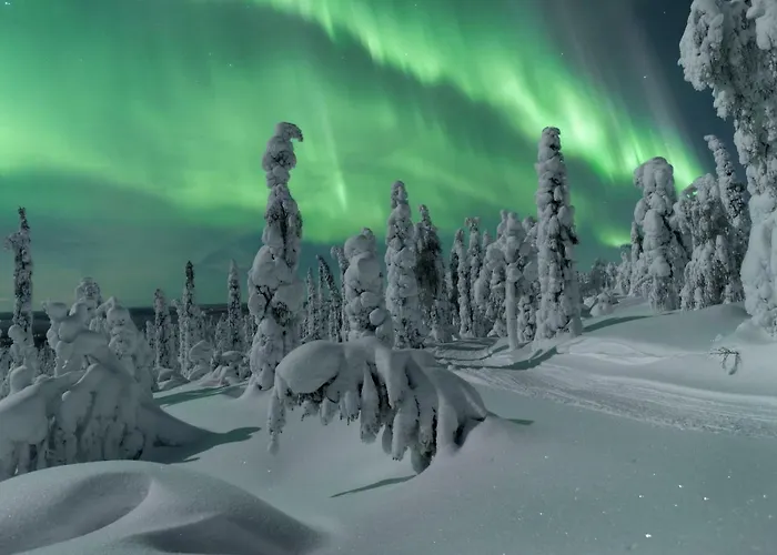金冠 - 莱文伊格鲁特度假屋酒店 度假居