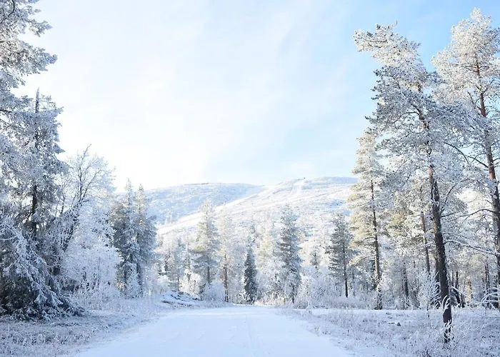 Semesterbostad Golden Crown - Levin Iglut *