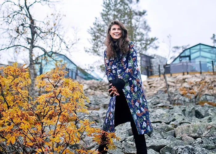 金冠 - 莱文伊格鲁特度假屋酒店 * 列维